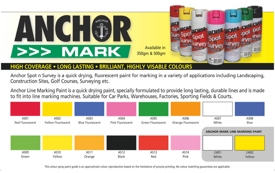 ANCHOR SPOT SURVEY -  350GM